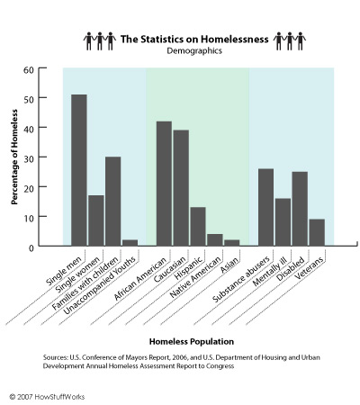 A graph on homeless demographics